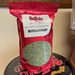 Buffalograss