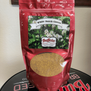 White Dutch Clover